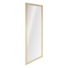 PS full body mirror-3