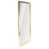 PS full body mirror